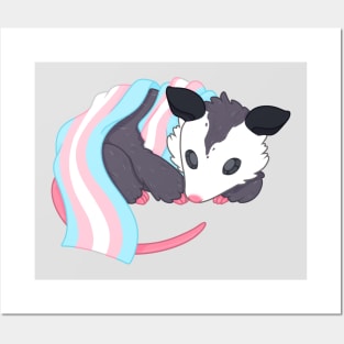 Trans Pride Possum Posters and Art